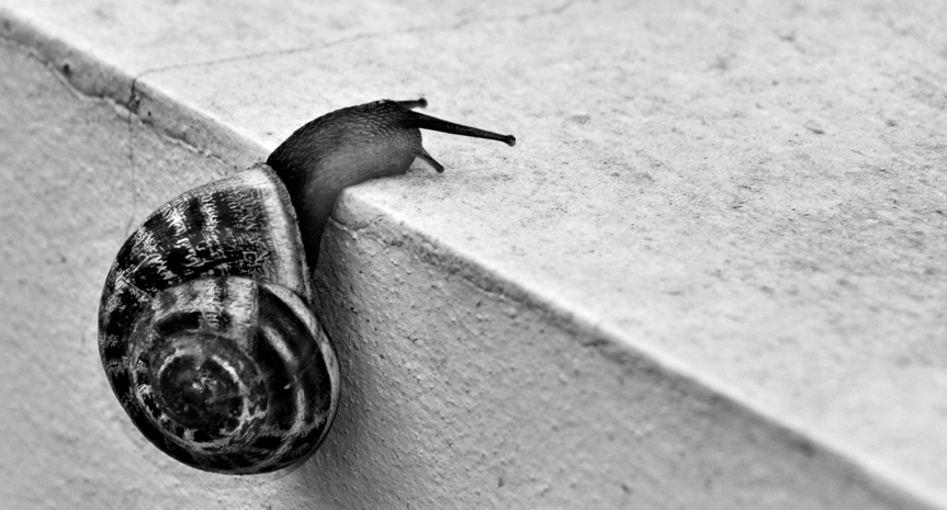 afrontar la adversidad asapme