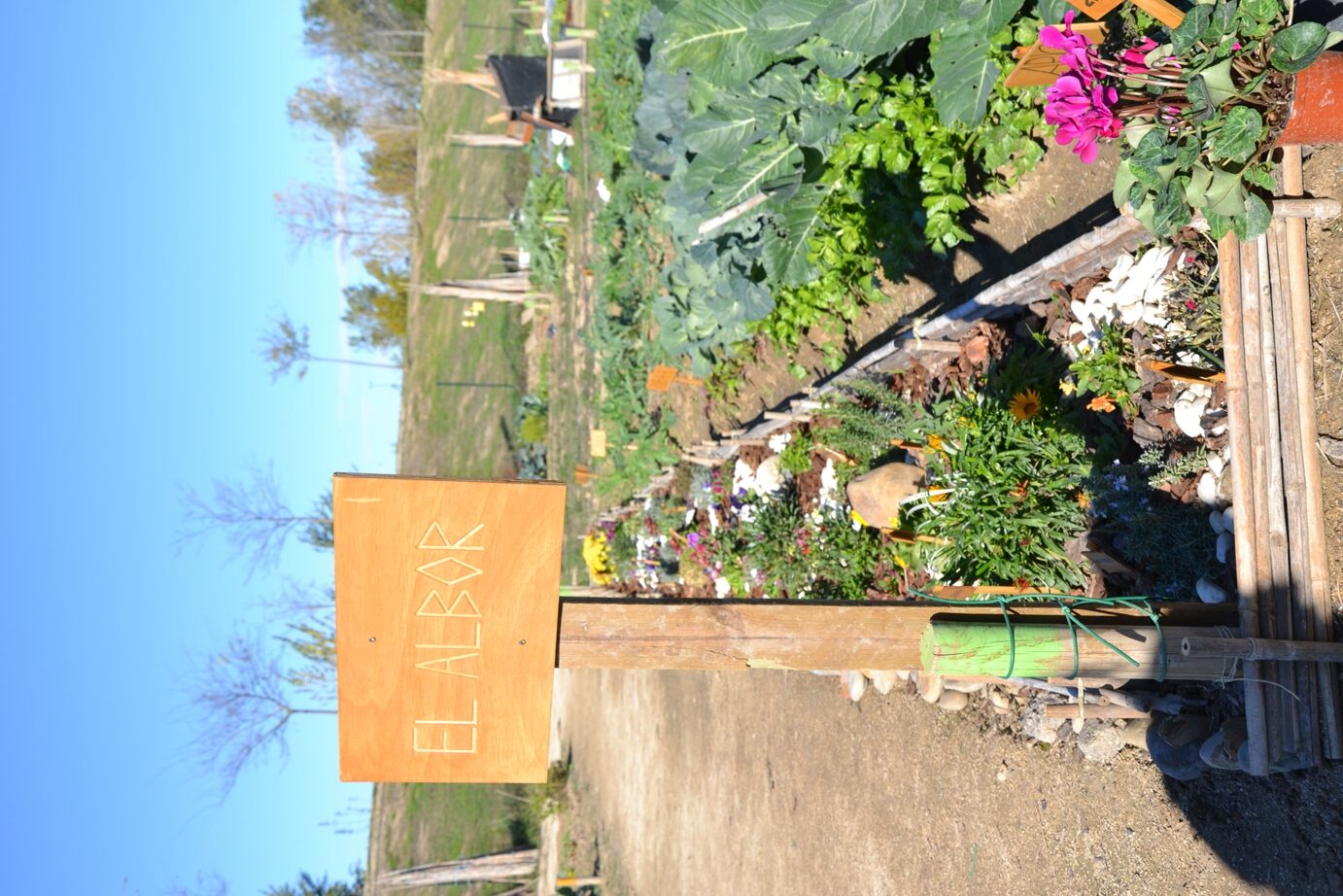 El Albor huerto de ASAPME