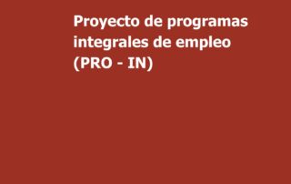 Programa Pro-IN